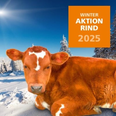 2025 Winteraktion Rind