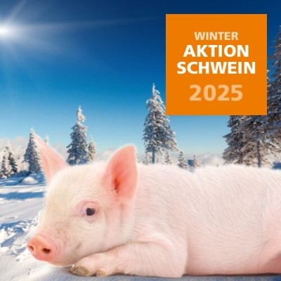 2025 Winteraktion Schwein